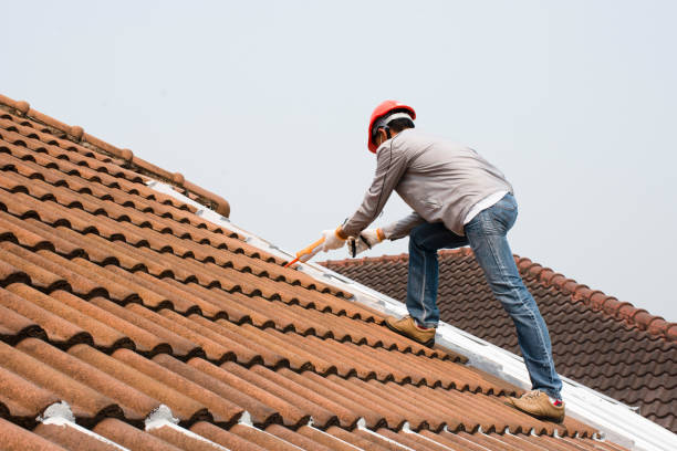 Best Solar Panel Roofing Installation  in Southern Gateway, VA